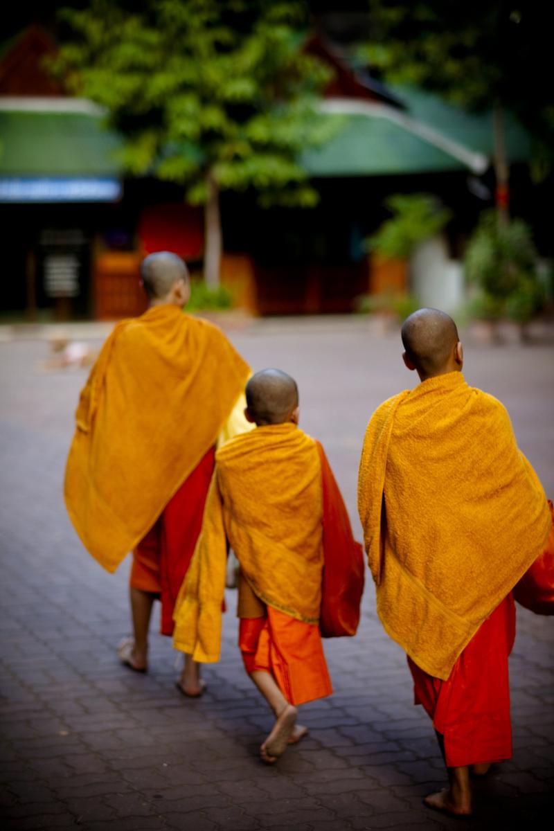 音乐播放器 音乐播放器app下载 音乐播放器 音乐播放器app下载