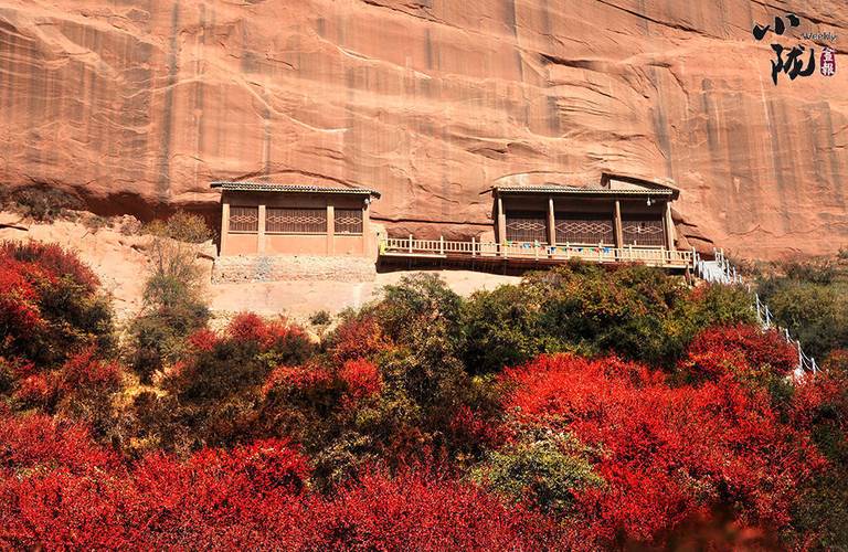 我不是药神评价我不是药神影评 我不是药神评价我不是药神影评