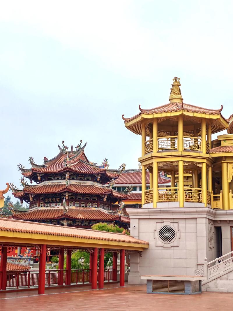 属马的名人和明星有哪些 属马的名人和明星有哪些