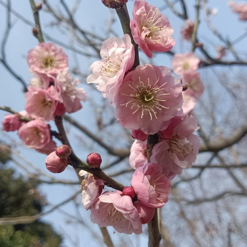 ˶ԽǷʾŲϵ(˶ԽӰʡ֧Ĳ)