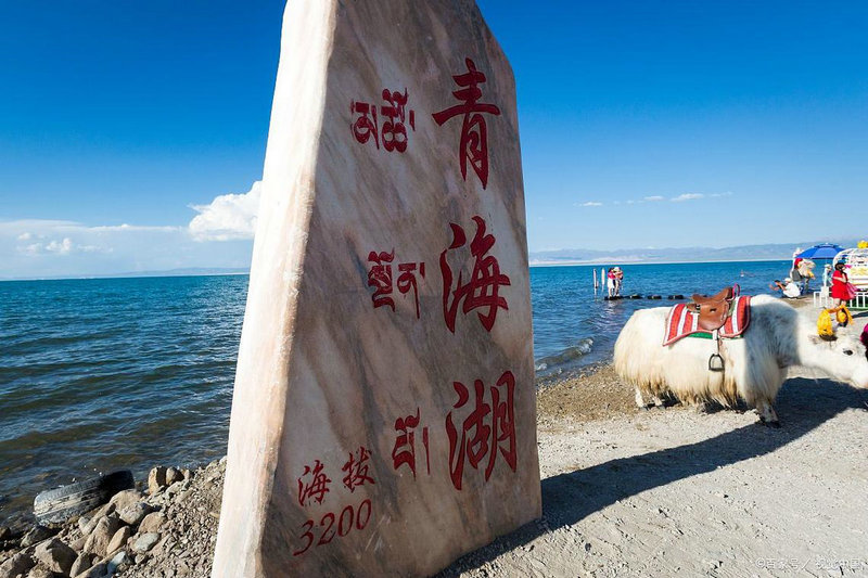 糊涂侦探国语(糊涂侦探国语百度云) 糊涂侦探国语(糊涂侦探国语百度云)