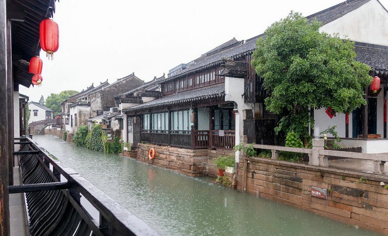 01年属于什么生肖啊 85年属什么的生肖 01年属于什么生肖啊 85年属什么的生肖