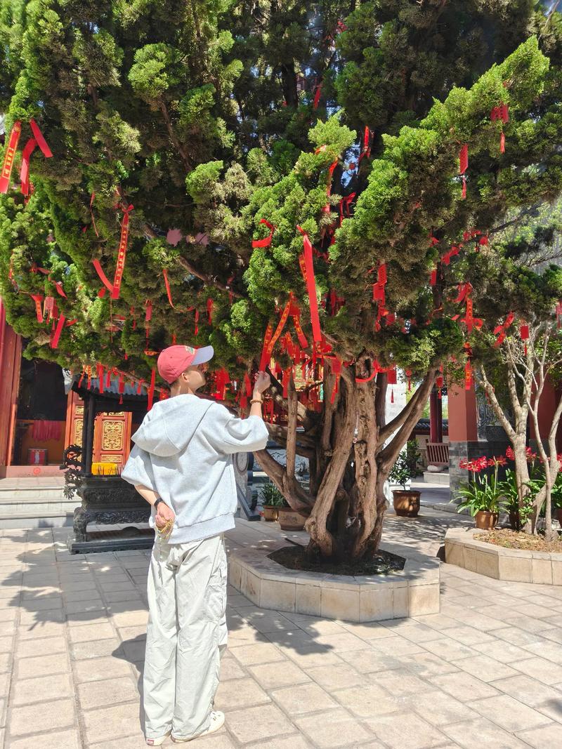 2006属狗的今年多大了 2006属狗几月最差 2006属狗的今年多大了 2006属狗几月最差