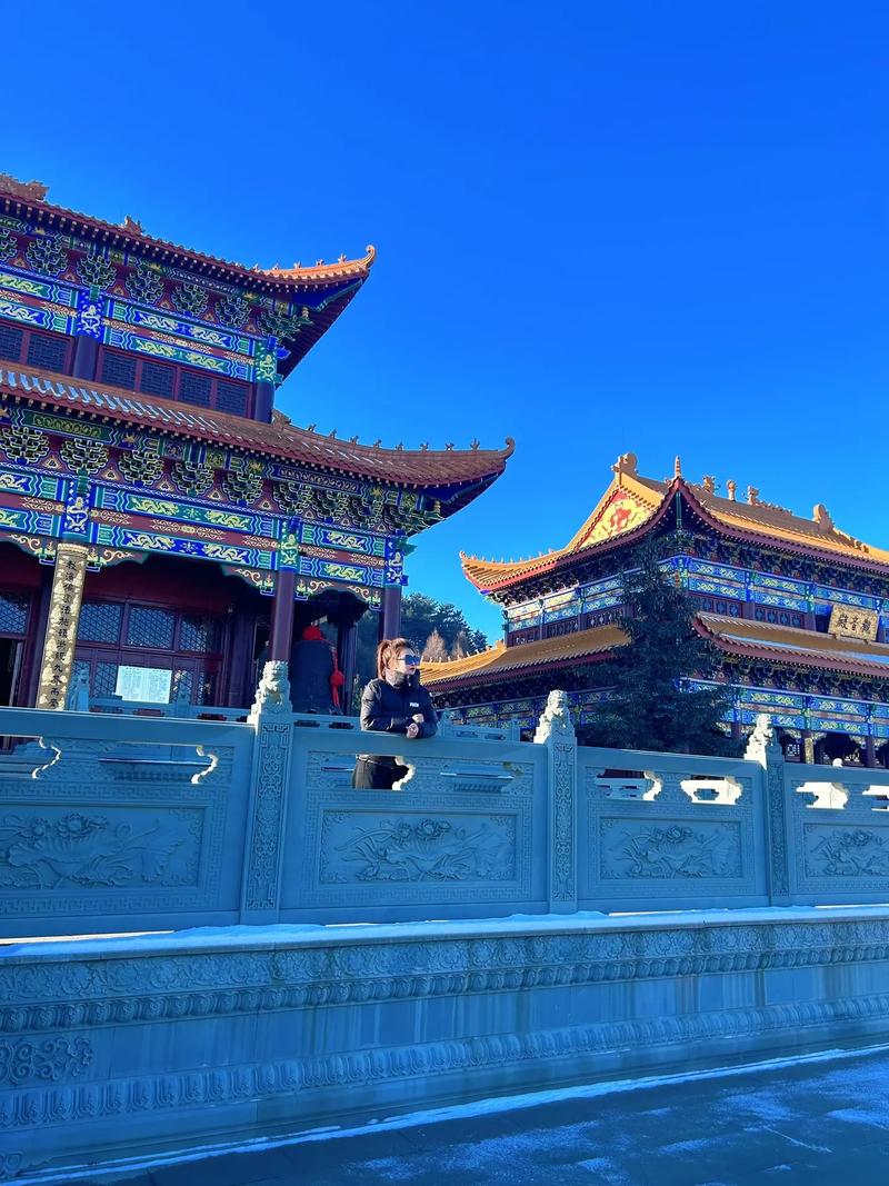 车五行属什么 (宝马车五行属什么) 车五行属什么 (宝马车五行属什么)