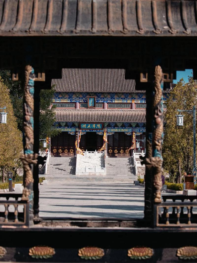 ���¿ɼ����������Ϻ��Ҿ������е���