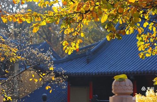 ƴȡǩڽǷ(ƴȡǩǷָڽ֮·)