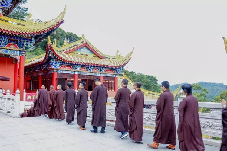 梦到厨房屋顶有条死蛇 梦到房子房顶有条蛇 梦到厨房屋顶有条死蛇 梦到房子房顶有条蛇