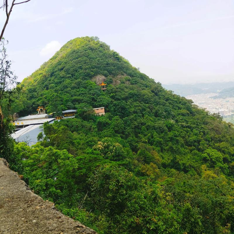 ������΢������ϵͳ