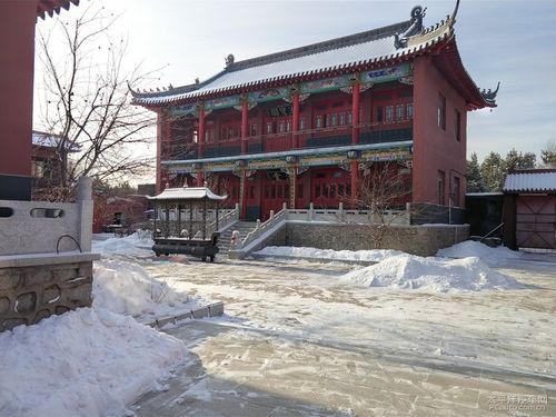 ���˶�ͷ�ϳ�����ʲô���� ��ͷ��������������ʲô��˼