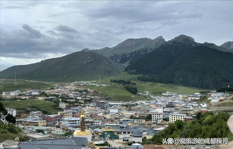 钟丽缇年轻时候有多美 钟丽缇年轻时候有多美
