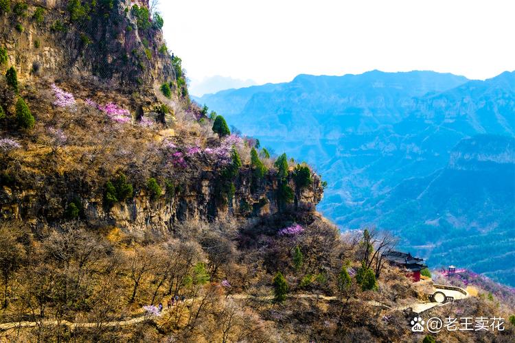 С�߷�װ��ǰ��ˮ����(��˳�з������Ҽ�Ŵ�װ���� )