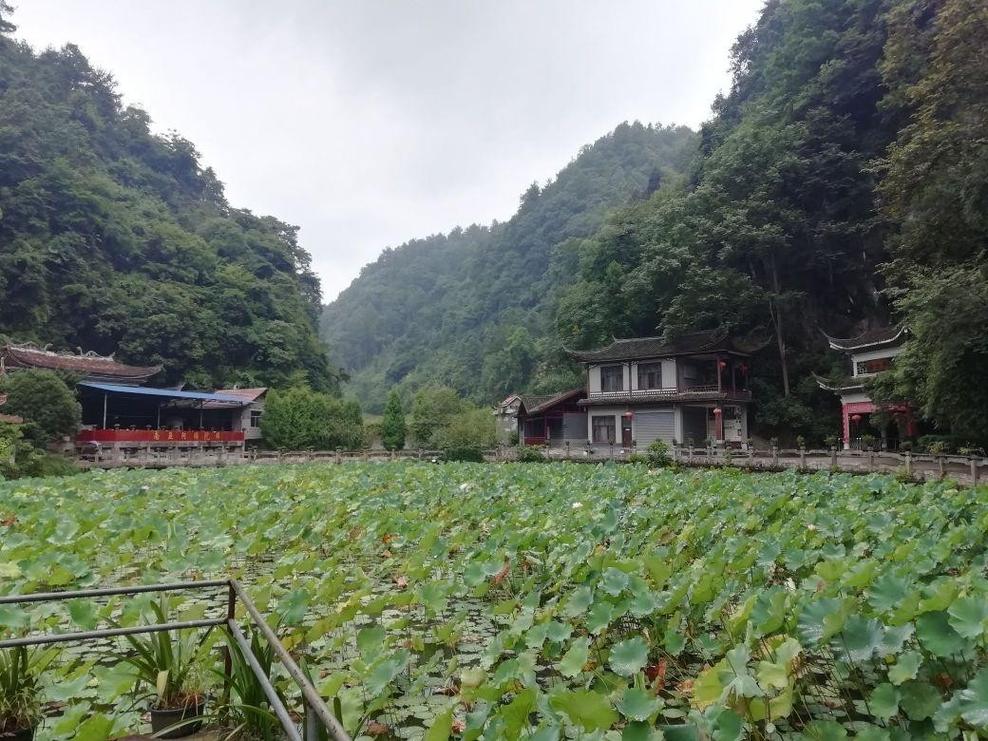 与你同行的手相女 与你同行的手相女