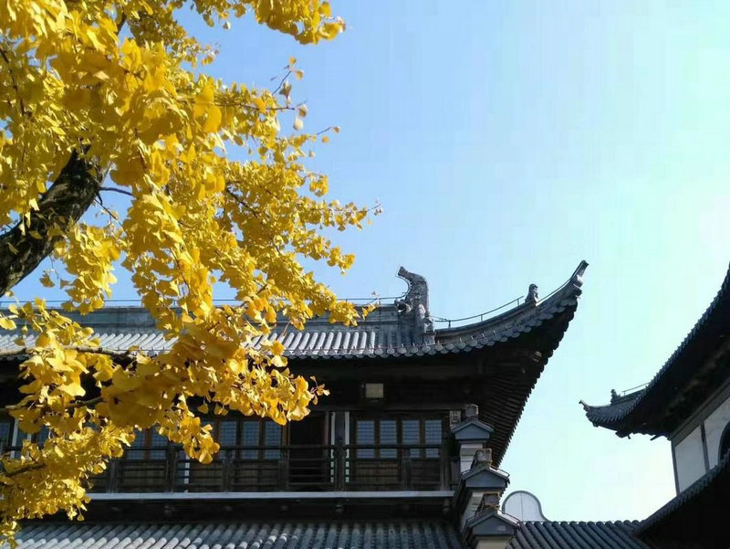 胎教音乐大全_胎教音乐大全视频 胎教音乐大全_胎教音乐大全视频