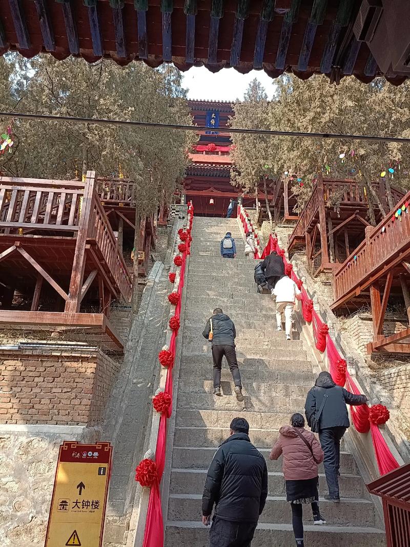 属虎人2025年10月运势 属虎人2025年10月运势